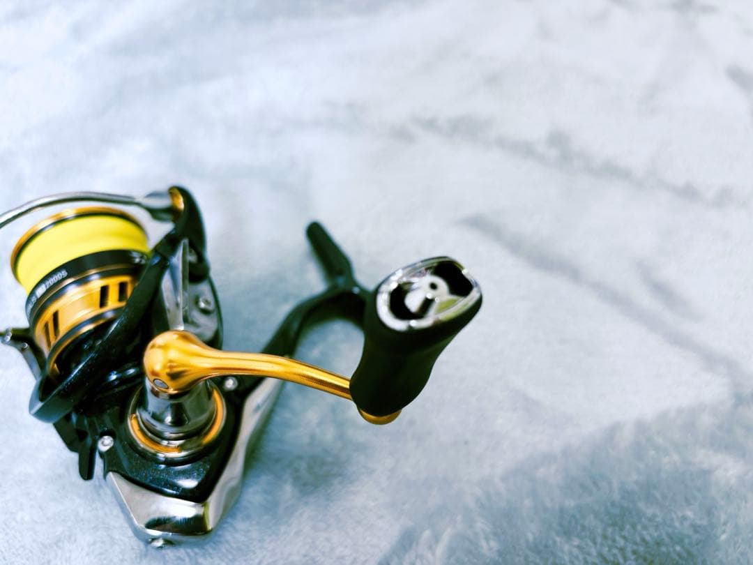DAIWA 18レガリス LT 2000 S リール DUEL PE 0.3号