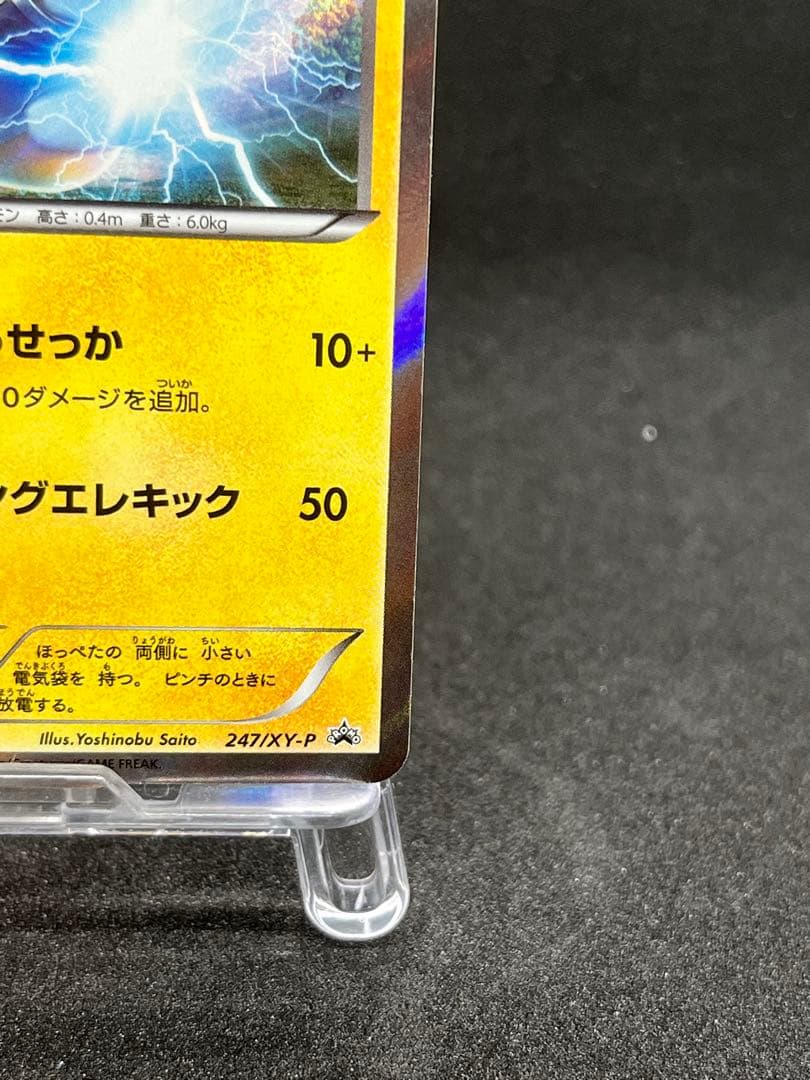 マスクド・ピカチュウ：マスクド・ピカチュウ スペシャルパック PROMO XY
