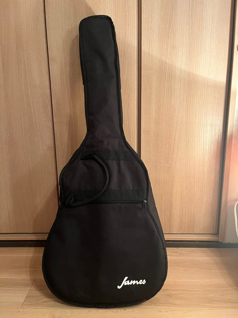AriaDreadnought AF-25Nアコースティックギター　ケース付