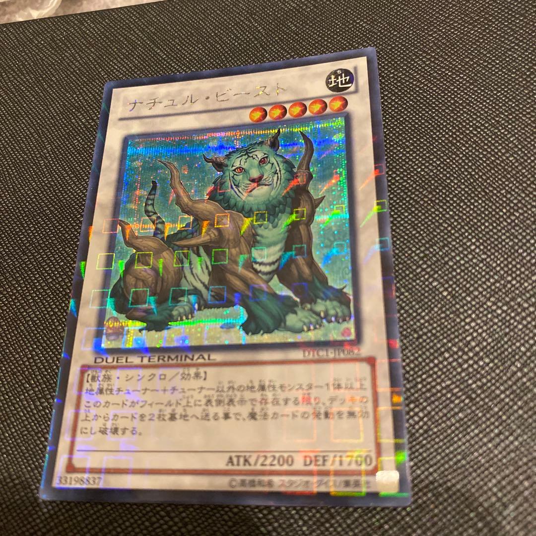 遊戯王　ナチュル・ビースト　DTCシークレットレア