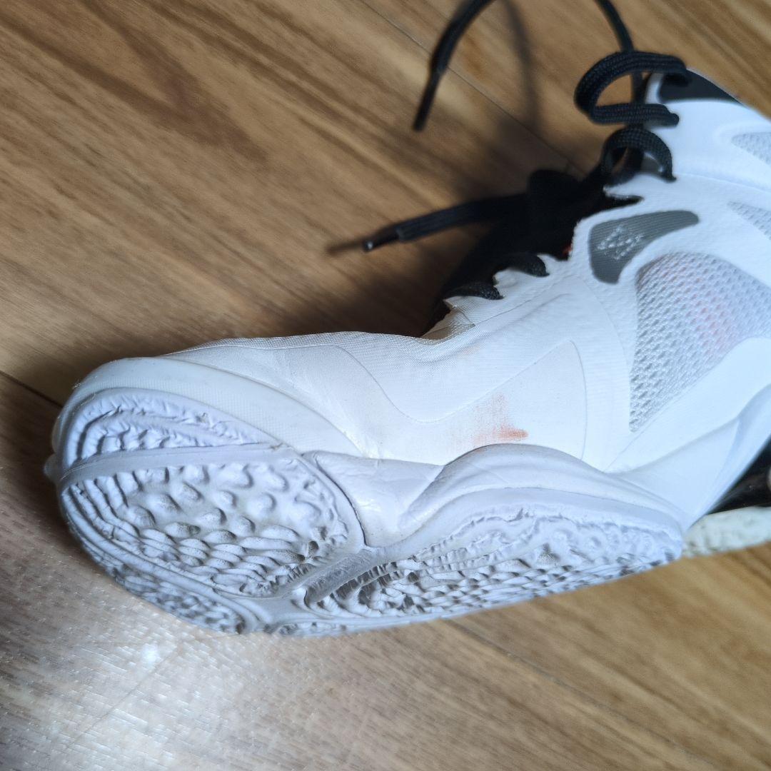 Mizuno Wave Lightning Z6 ミドルカット　24cm
