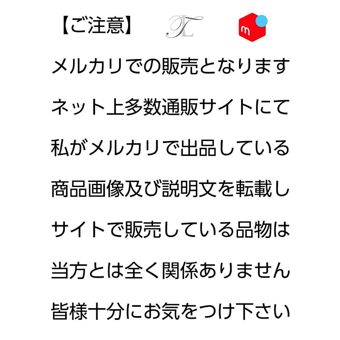 CAMPEON／カンペオン／メキシコ製／ボクシンググローブ／8オンス