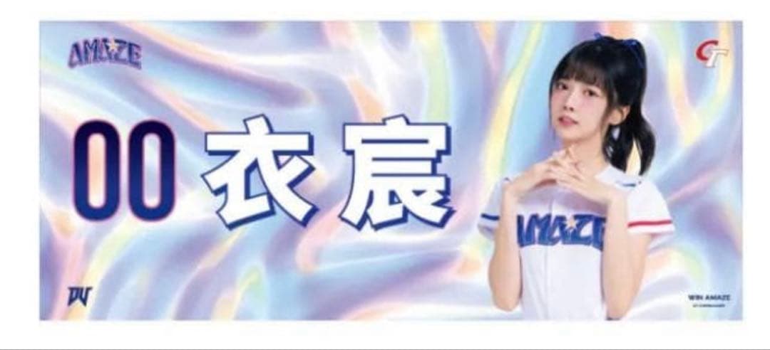 【激レア品】衣宸 イーチェン WBC2026 公式応援タオル