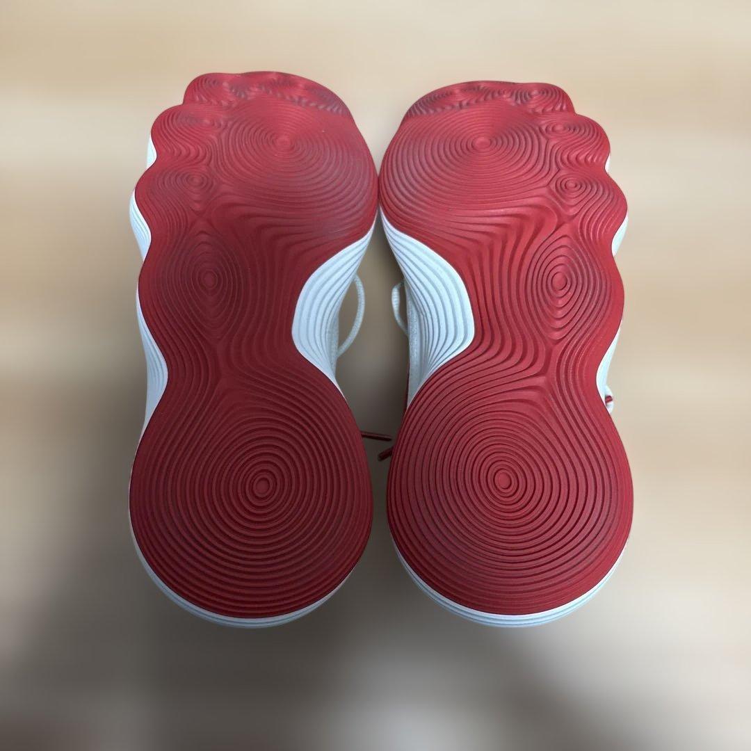 NIKE ハイパーダンク2017 Low 28.5cm