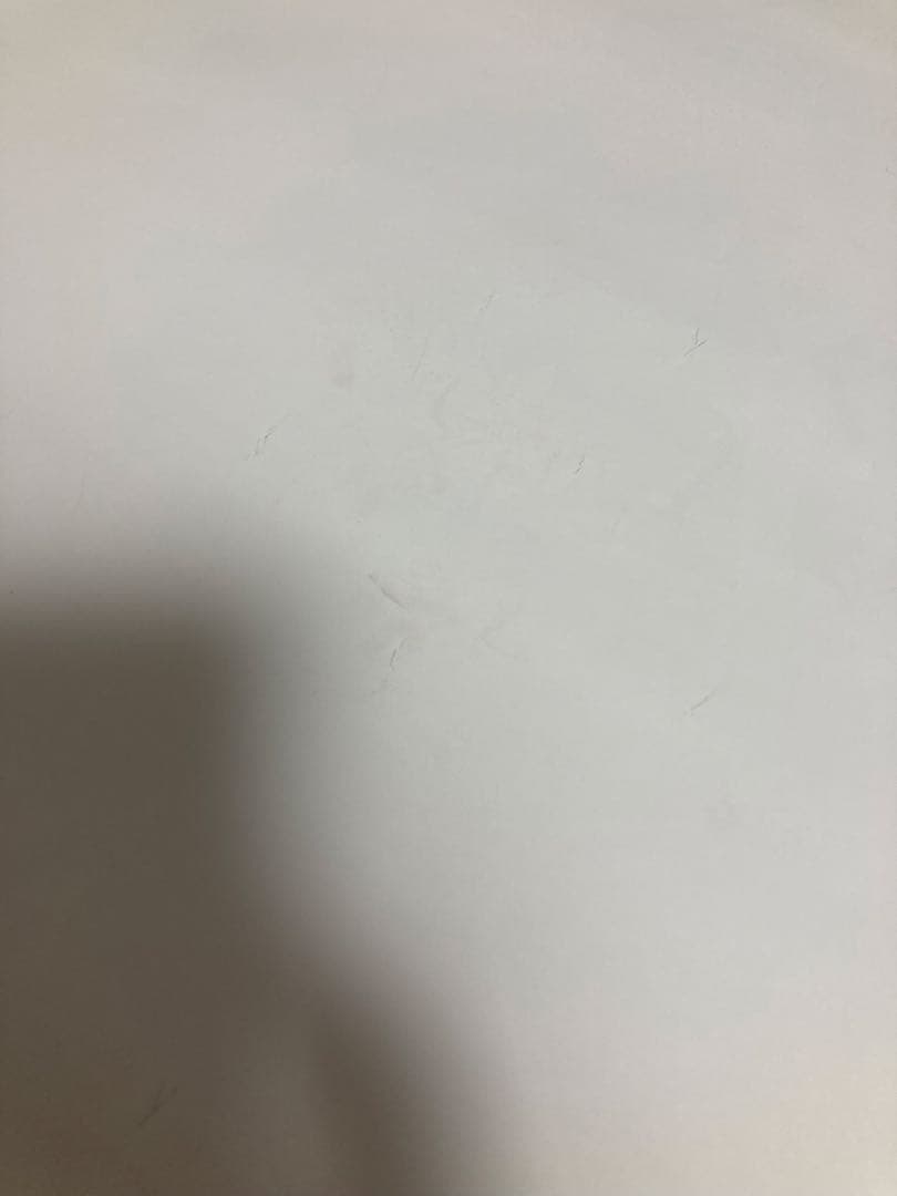 【匿名配送・送料無料】向井地美音 卒コンポスター 銀テープ付