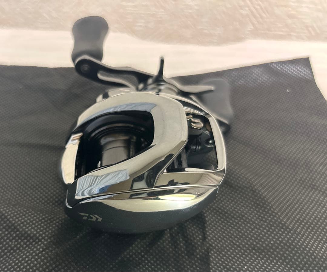 24スティーズ DAIWA STEEZ SV TW 100HL