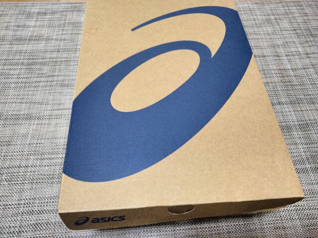 NOVA SURGE 3 26cm ノバサージ3 バスケットシューズ　バッシュ