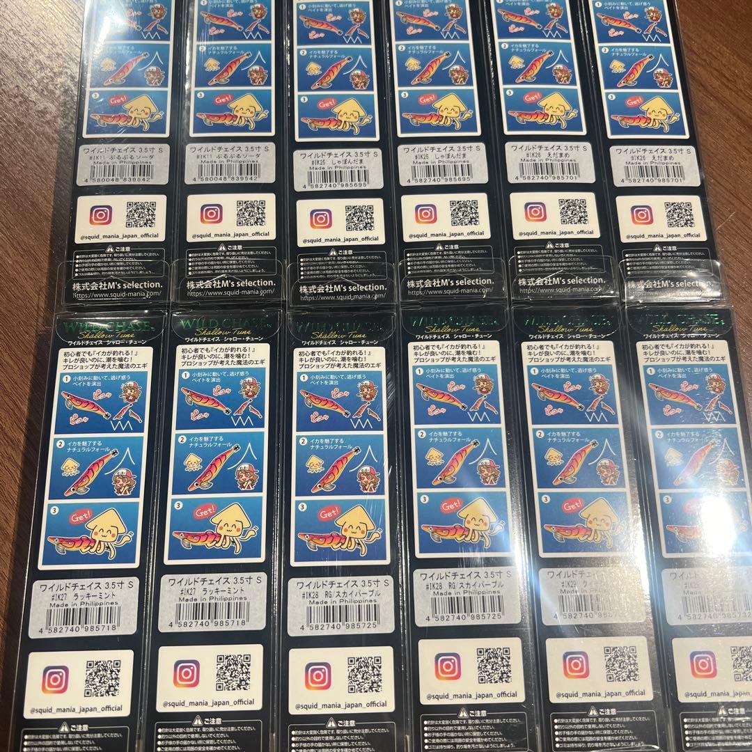 スクイッドマニア　ワイルドチェイス　3.5号　シャローチューン