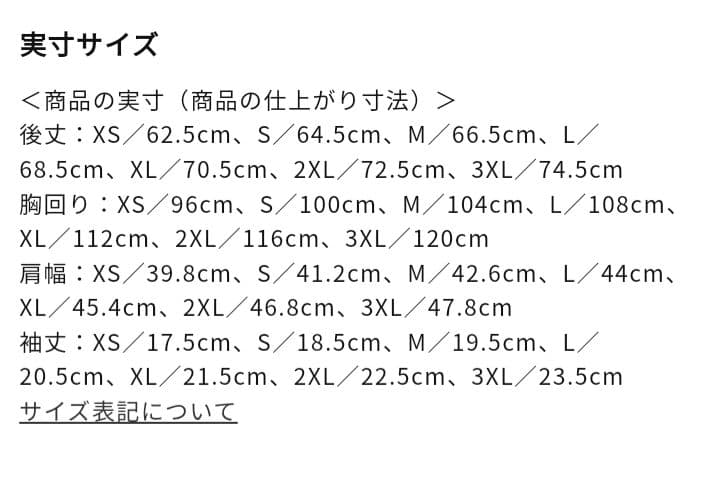 XLサイズ【国スポ SAGA2024】MIZUNO 限定ポロシャツ 国体