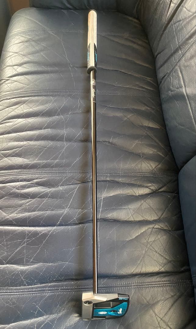 テーラーメイド Spider ZT ゼロトルク 34インチ TaylorMade