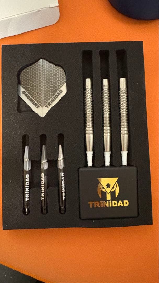値下げTRINIDAD SALDIVAR TYPE 4 ダーツ
