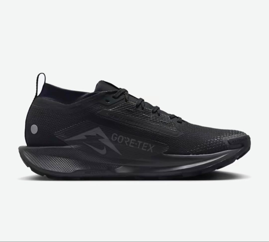 ナイキ ペガサス トレイル 5 GORE-TEX 27.5㎝