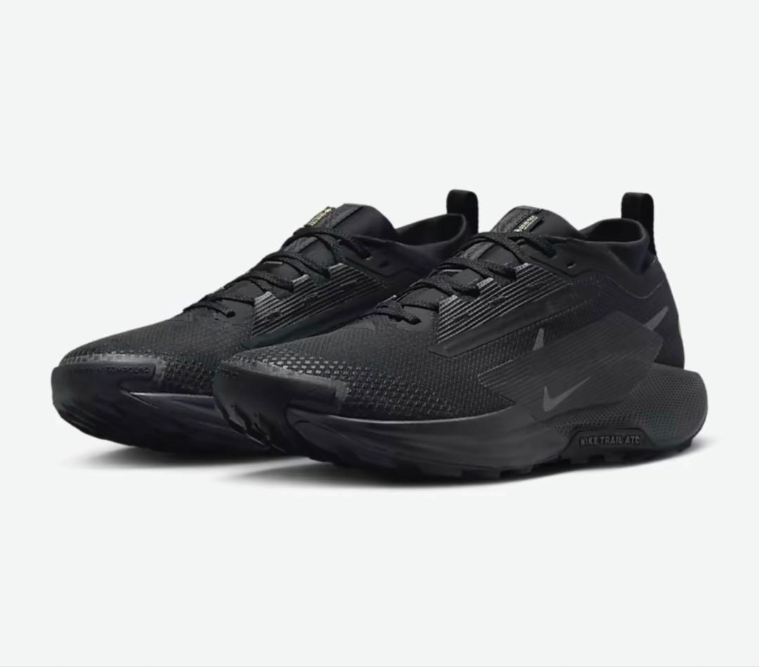 ナイキ ペガサス トレイル 5 GORE-TEX 27.5㎝