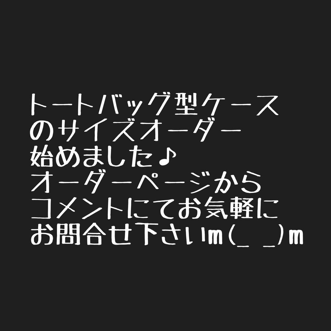 即購入OK！オールドマウンテン×ノラズフレームリムジン用収納バッグ型ケース