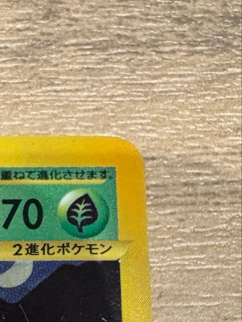 わるいフシギバナ ★ ポケモンカード★web 041/048