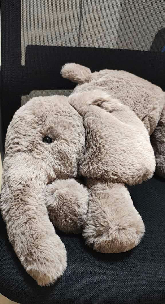 新品  象 smudge elephant５６ｃｍ