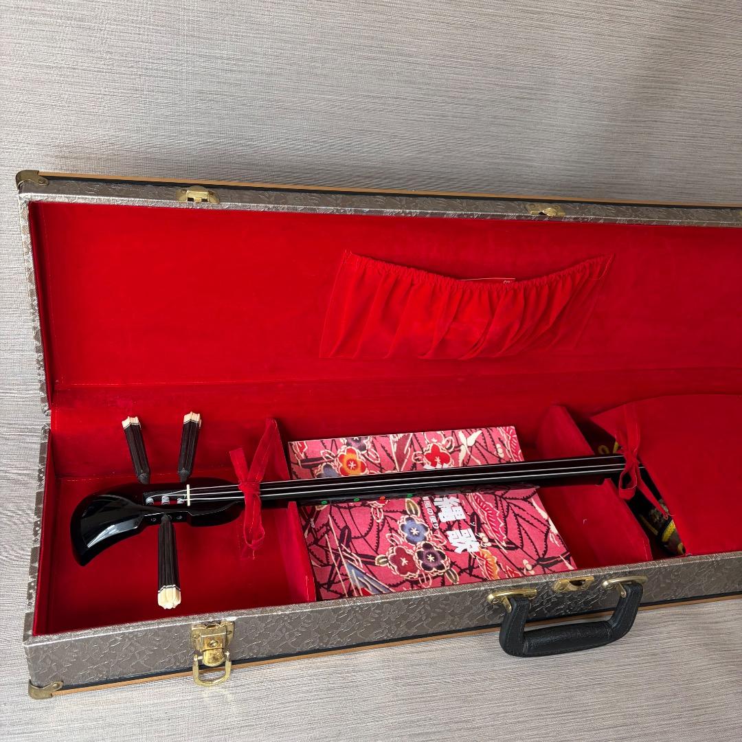 極美品✨沖縄三線 本蛇皮強化張り 池武当 新垣三線 ハードケース付 送料無料