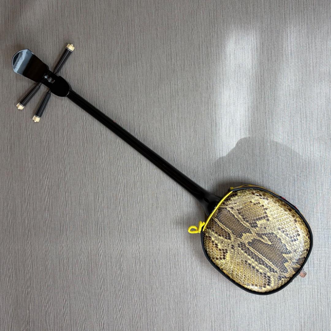 極美品✨沖縄三線 本蛇皮強化張り 池武当 新垣三線 ハードケース付 送料無料