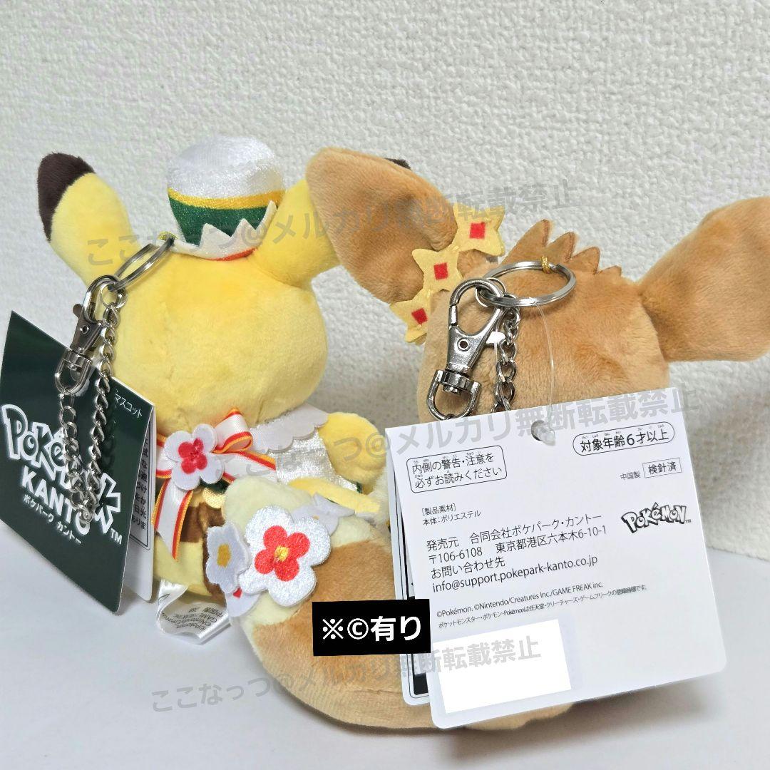 ポケパークカントー 限定　ピカチュウ　イーブイ　ぬいぐるみ　マスコット　セット