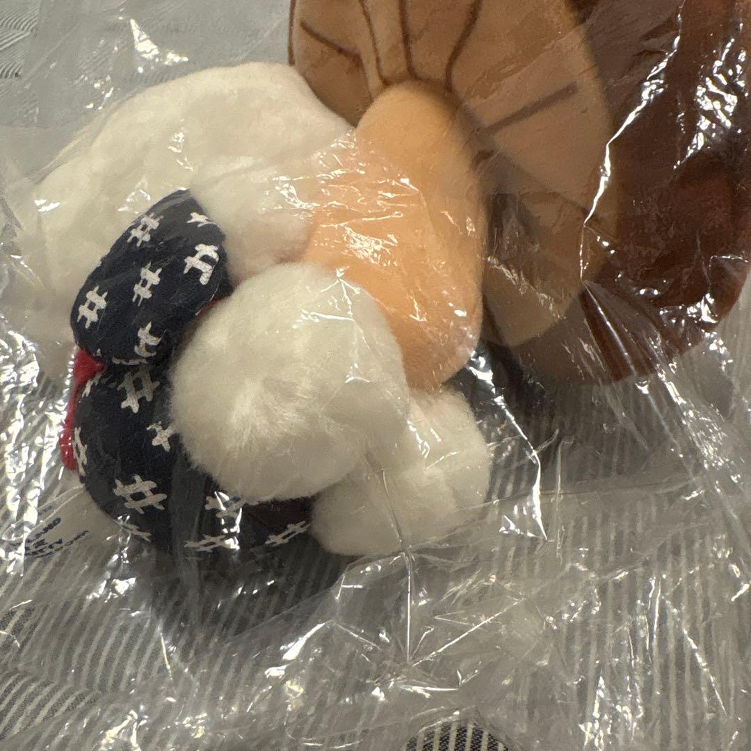ご当地キティ　ぬいぐるみ　大分　しいたけ