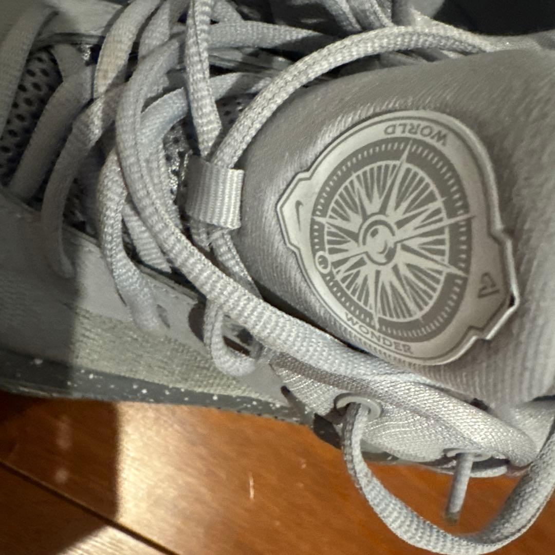 Nike zoom freak 25cm グレーのバスケットボールシューズ