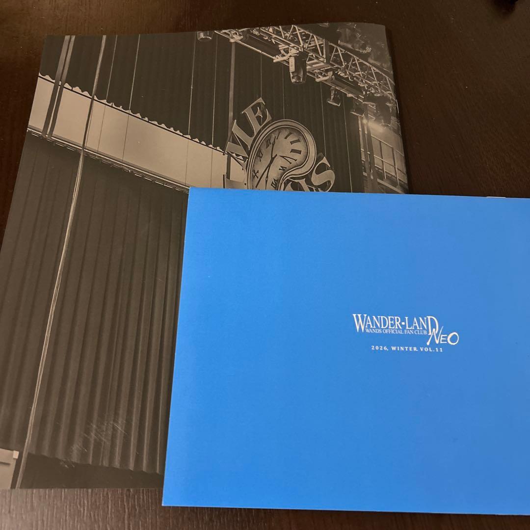wands TIME STEW live tour 2025 フォトブック