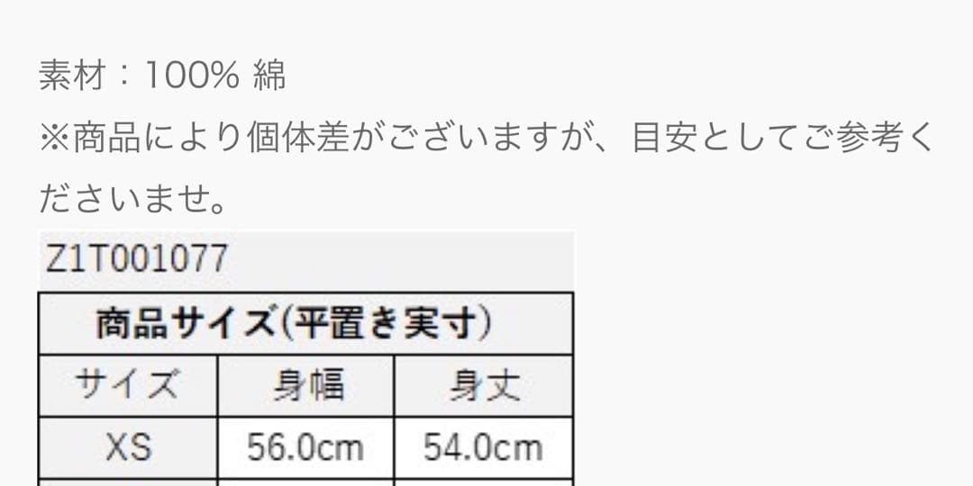 ZUMBA バレンタインシリーズ　正規品Tシャツ　未使用品
