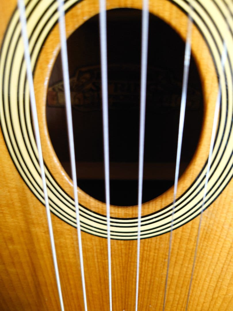 Stringphonic Basic Limited Plus Newマカフェリ