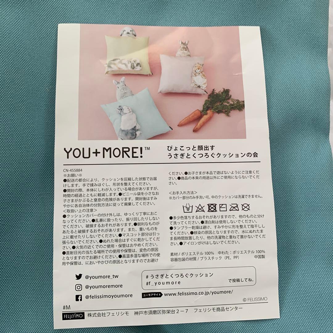 ピ*ノ様 2個　しらとあきこ ぴょこっと顔出すうさぎとくつろぐクッションの会　フ