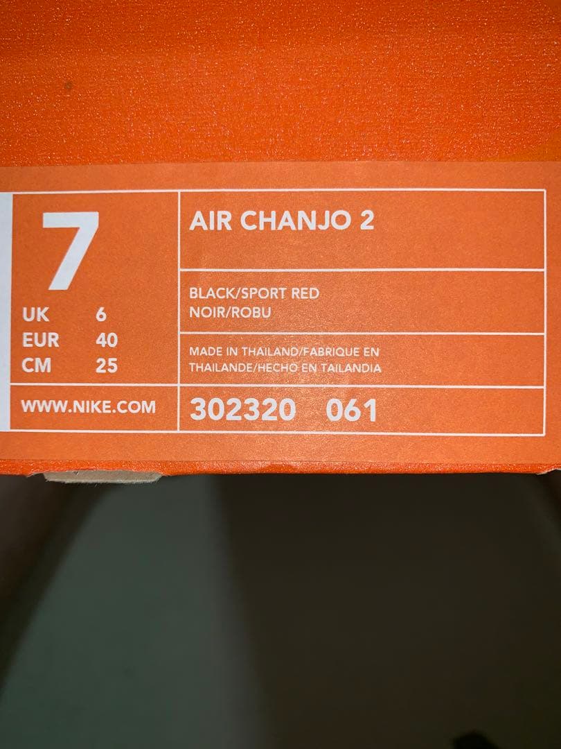NIKE AIR CHANJO ２