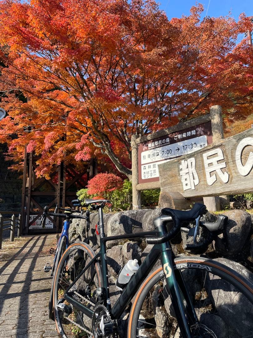 Scott addict rc20 2020 S/52サイズ
