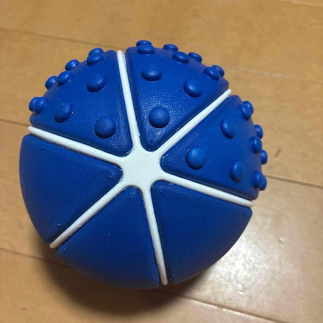 ユミコアボディ　ホグッシープラス　ブルー　エクササイズ
