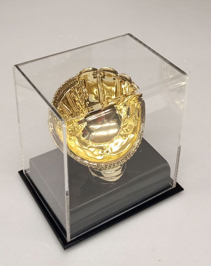 Gold Glove Baseball HolderBCW製サインボールケース
