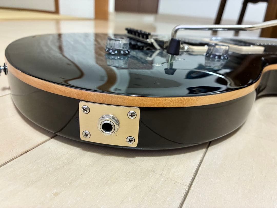 PRS SE Floyd USAピックアップ搭載