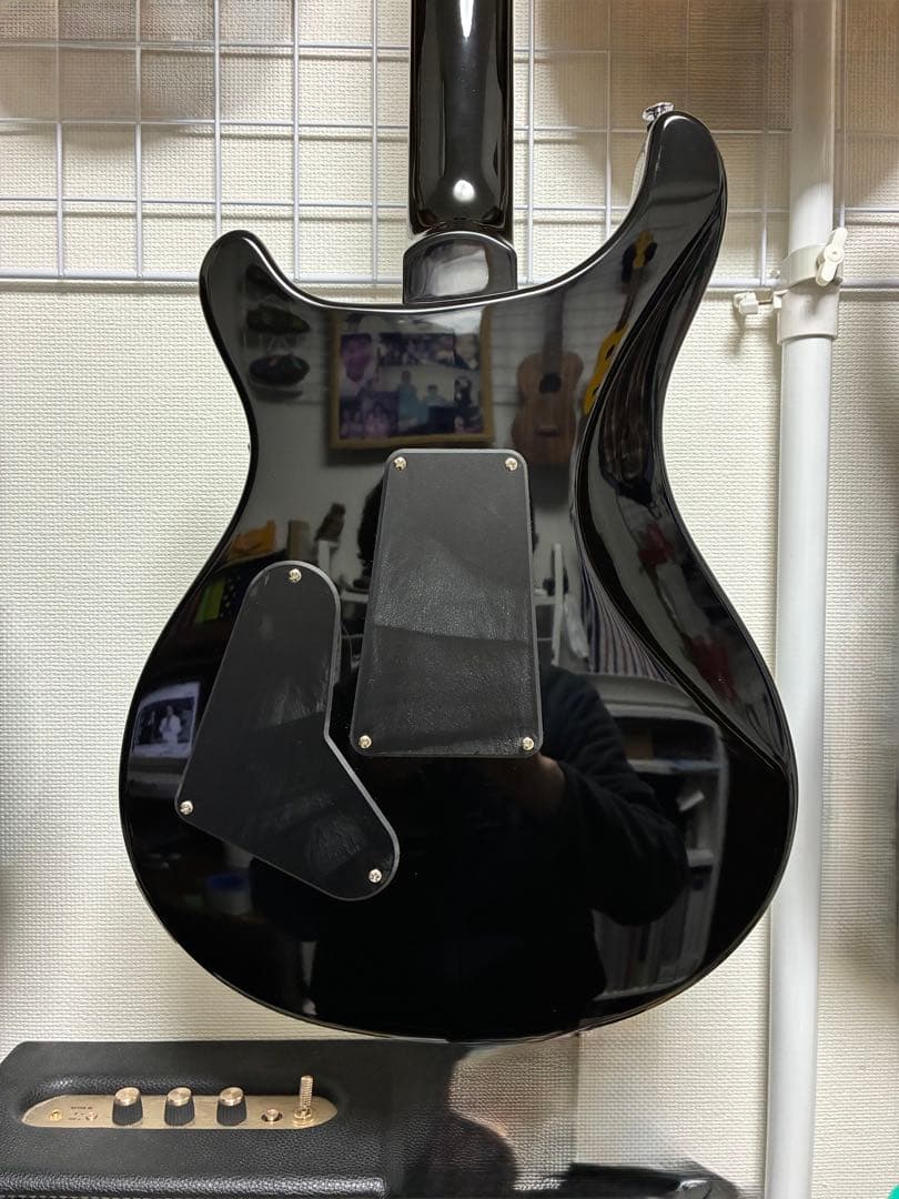 PRS SE Floyd USAピックアップ搭載