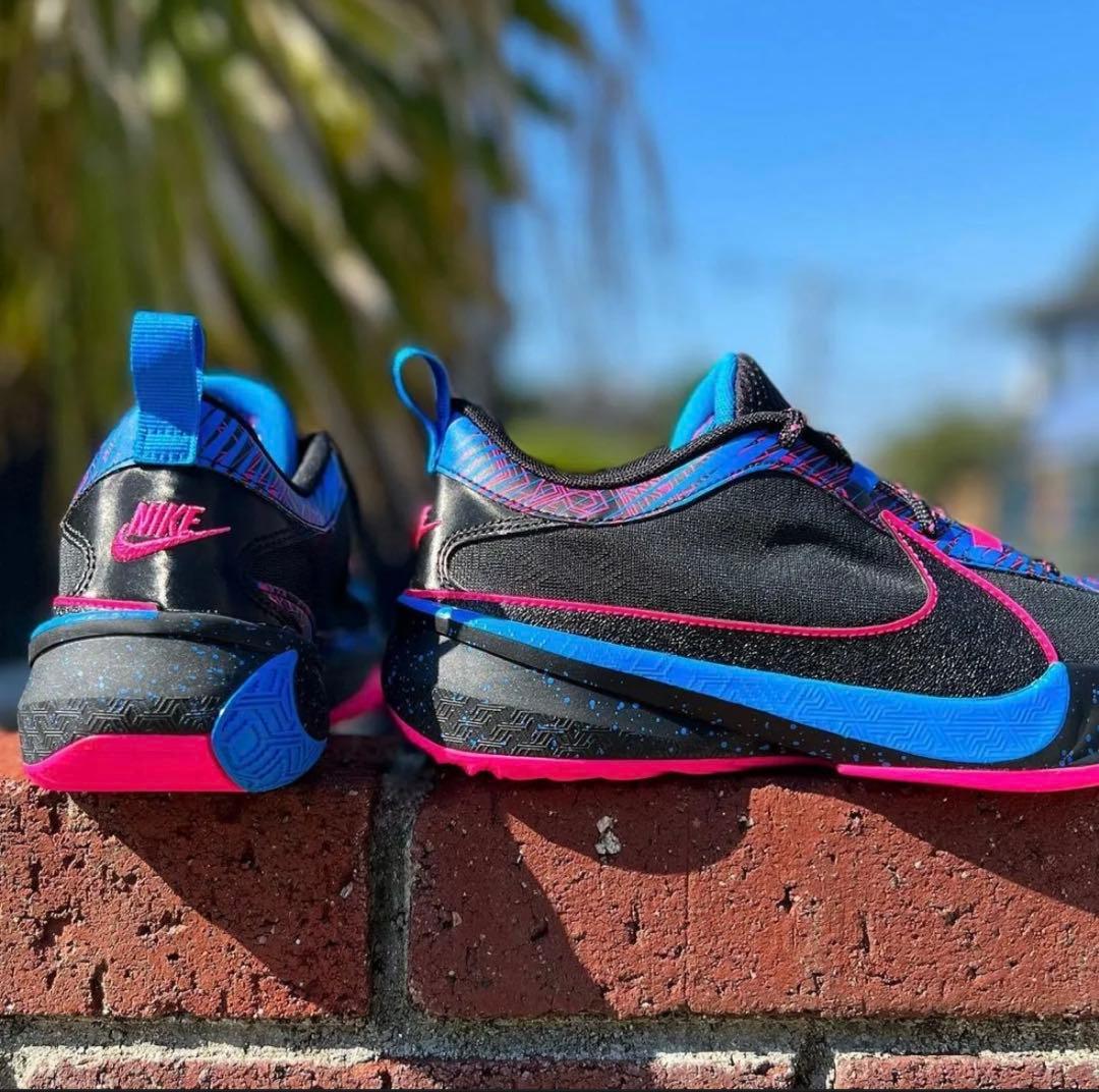 バスケットシューズ バッシュ フリーク Nike ZoomFreak5 美品