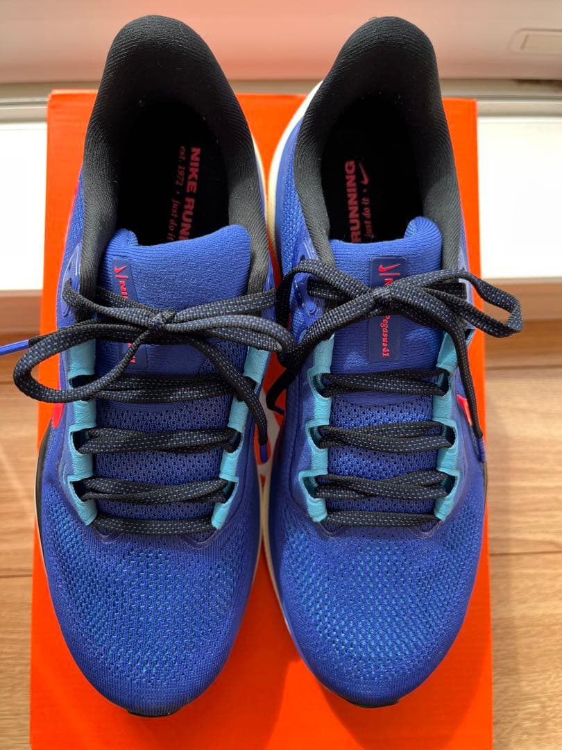 【25.5】Nike Air Zoom Pegasus 41