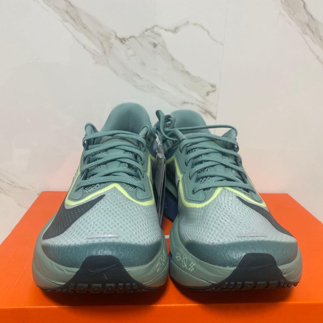 新品　未使用　タグ付　NIKE ZOOM FLY6　25cm