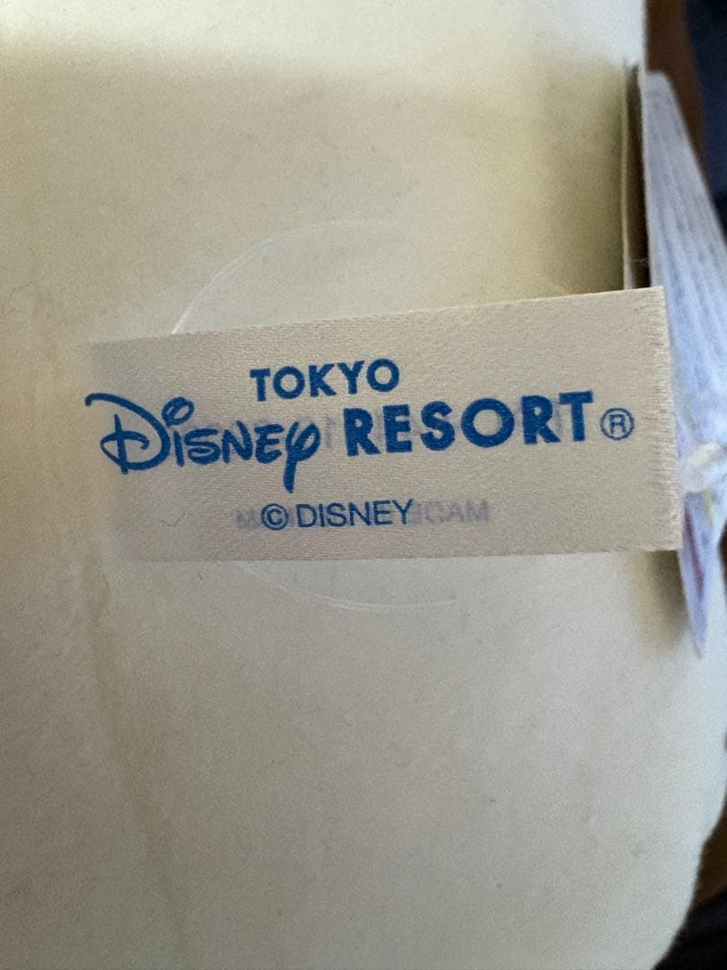 ディズニー クッション グローブ シェイプパオ　チキンパオ Disney