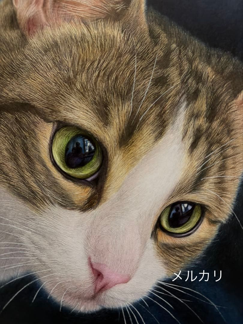色鉛筆画A4.キジシロ43