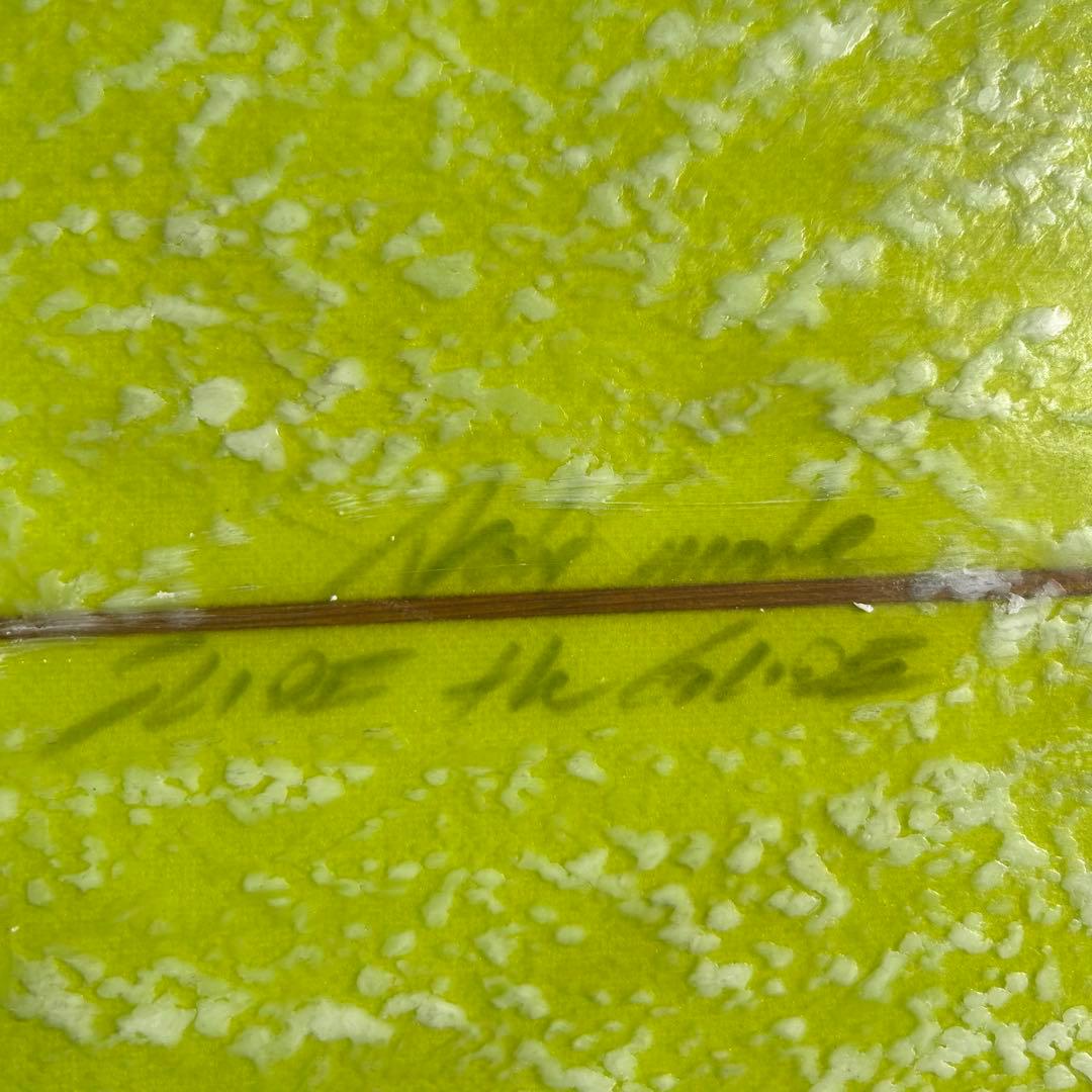 Josh Hall フィッシュシモンズ　8.7f ロングフィッシュ