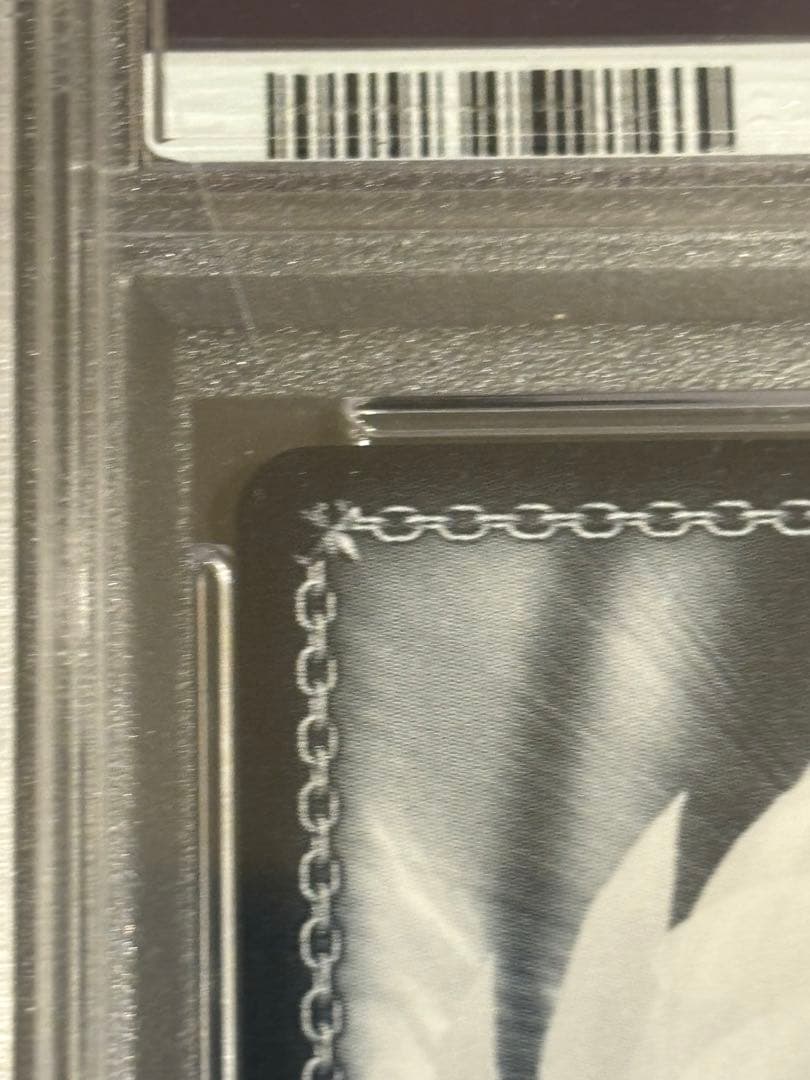 《トカゲの保護　ティア》ssp psa10