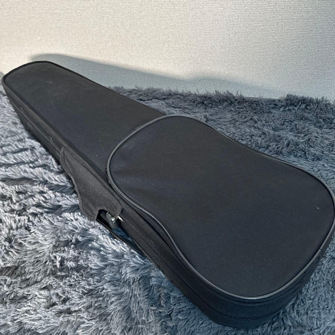 Hallstatt V-10 バイオリン 4/4サイズ ケース 弓付属 弦楽器