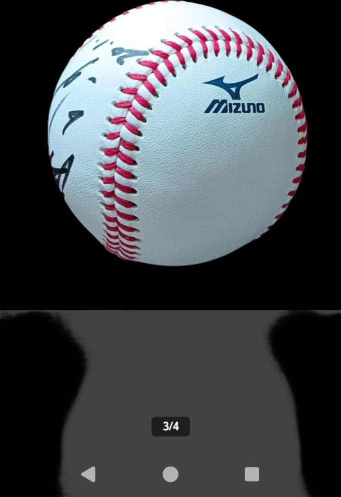 Mizuno NPB公式野球 落合博満サインボール