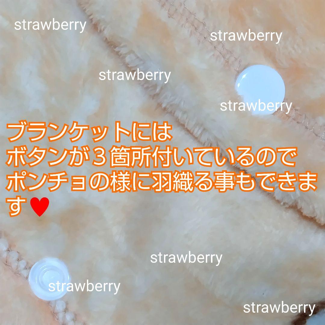 ベルリオーズ　トゥルーズ　ぬいぐるみ　ディズニー　コストコ　ブランケット