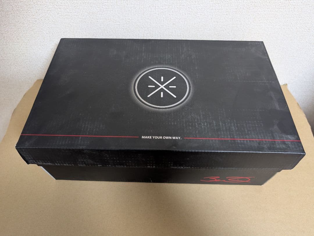 Li-Ning（リーニン）Wade Ice Blood 2 V2