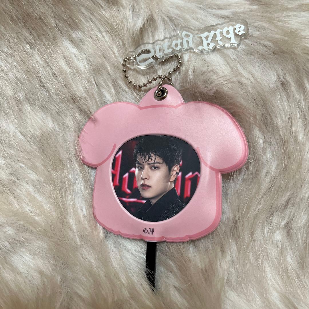 straykidsz スンミン パピーム まとめ売り