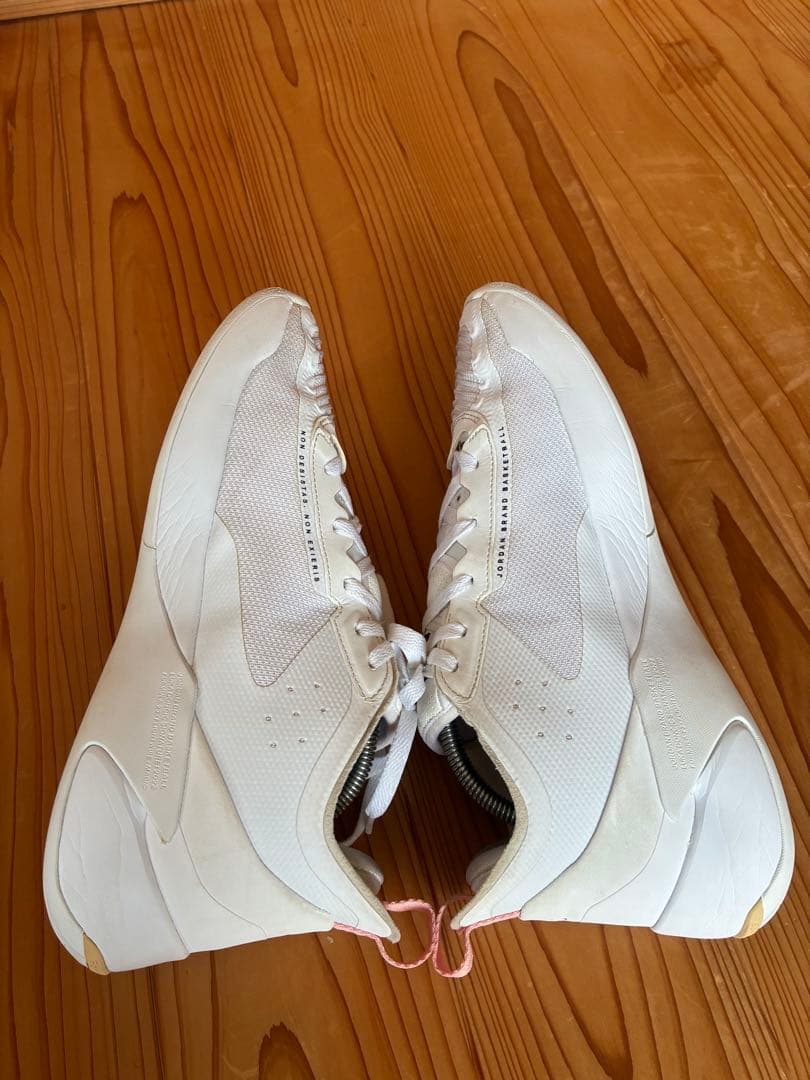 NIKE Jordan ルカ1 ホワイト/ピンク 27.5cm