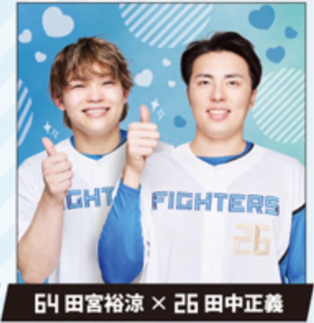 〔非売品〕 ファイターズ 推しペアクッション | 3個セット