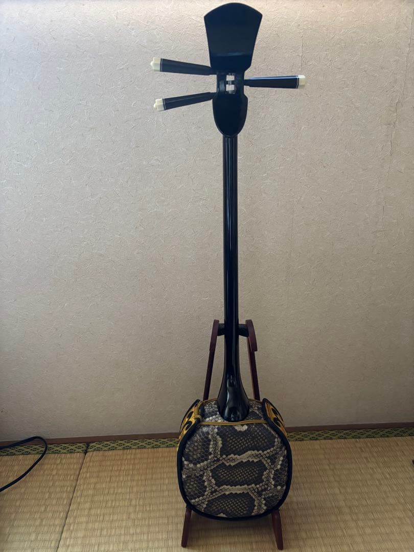 三線 沖縄　本体 ケース　付属品セット　人工皮　黒木？